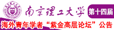 粉逼美女被操南京理工大学第十四届海外青年学者紫金论坛诚邀海内外英才！